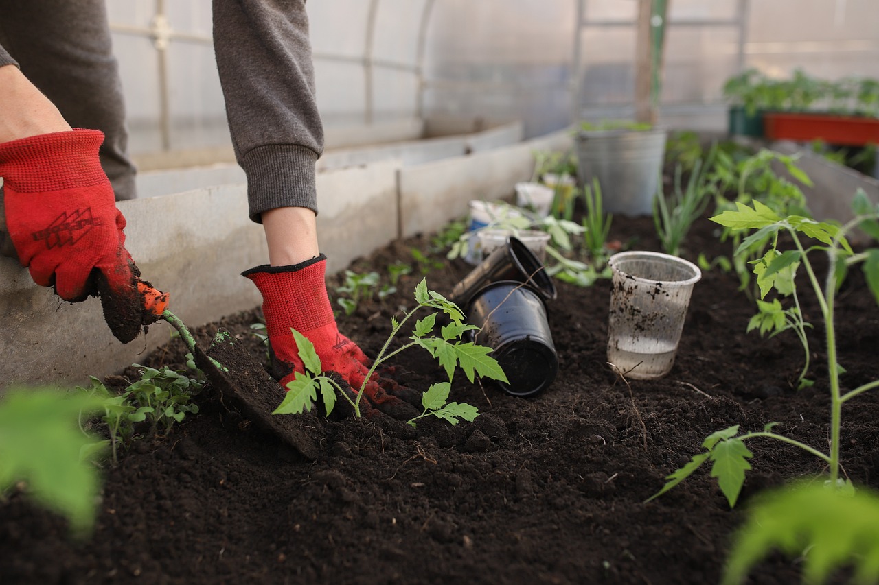 Home Gardening